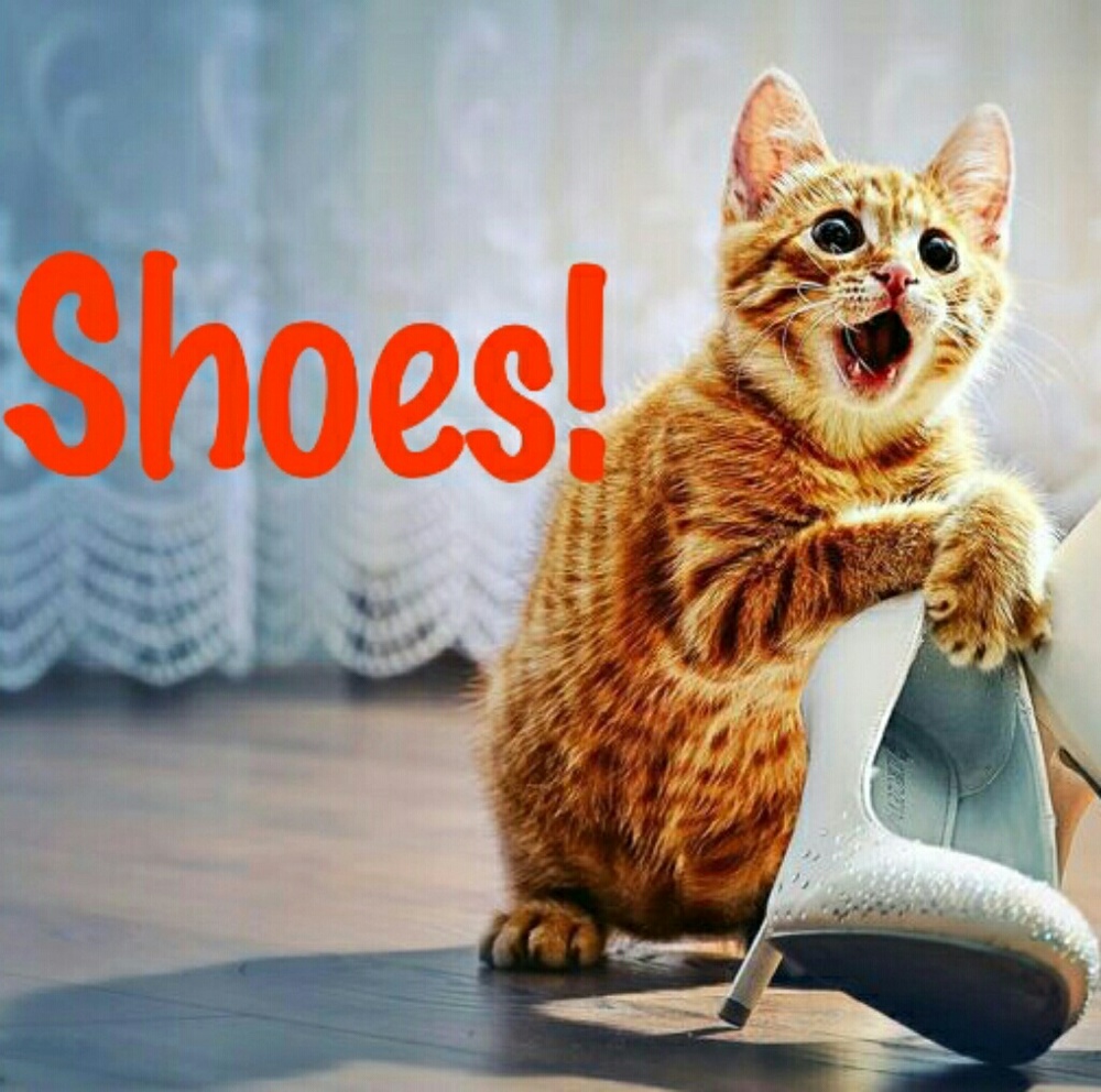 Sneakers, Heels, Sandals